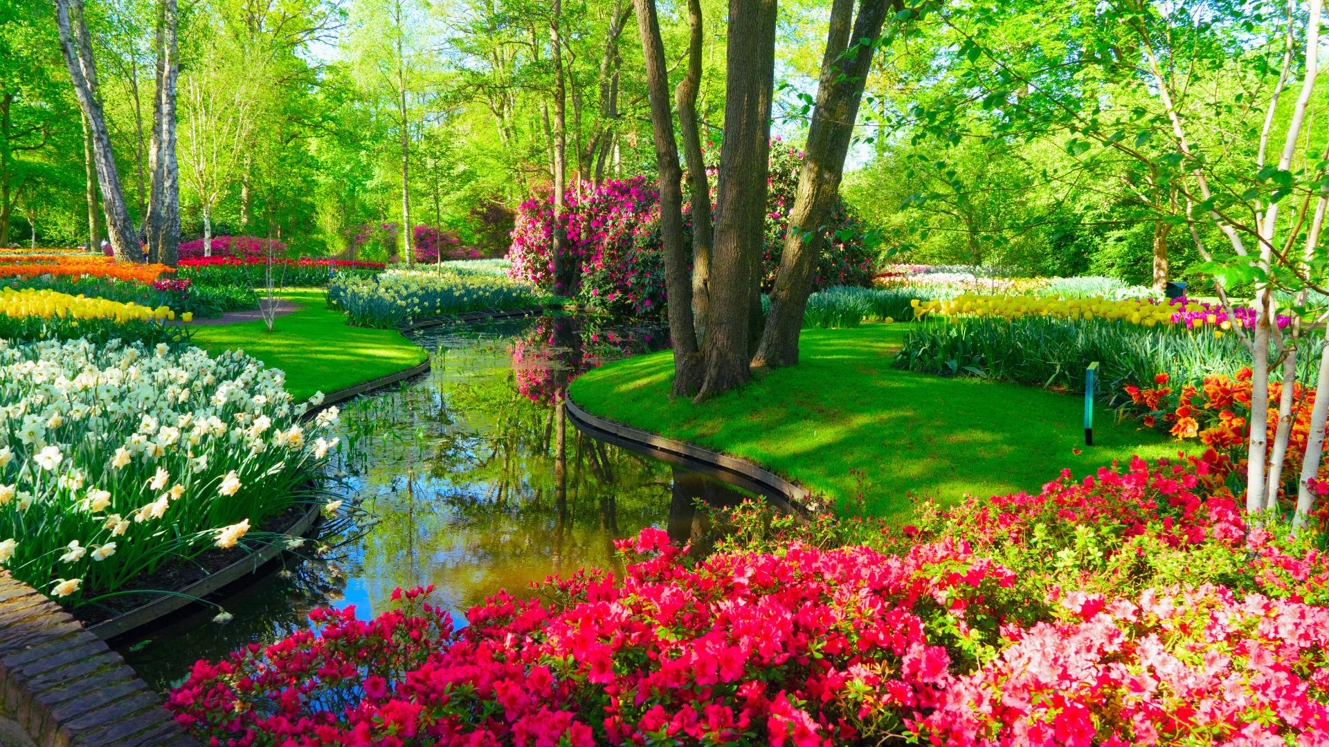 Landscape Design