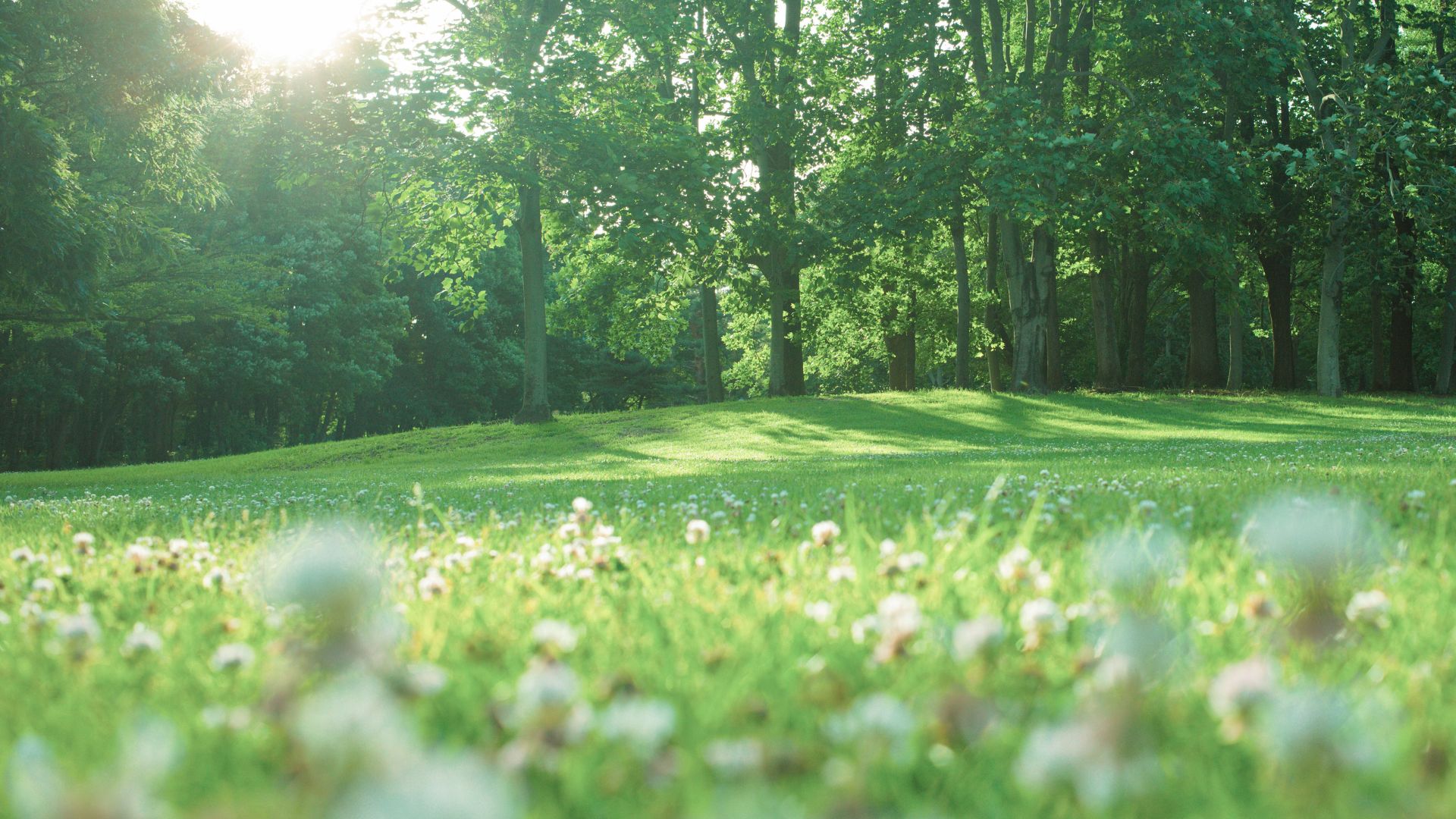 Irrigation Systems
