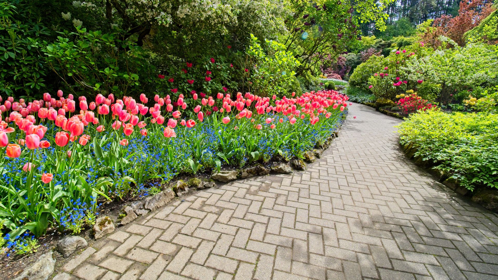 Lawn Maintenance